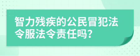 智力残疾的公民冒犯法令服法令责任吗？