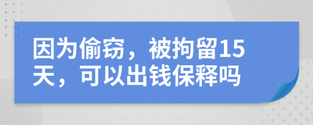 因为偷窃，被拘留15天，可以出钱保释吗