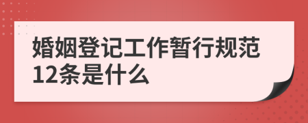 婚姻登记工作暂行规范12条是什么