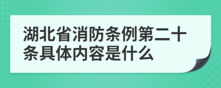 湖北省消防条例第二十条具体内容是什么