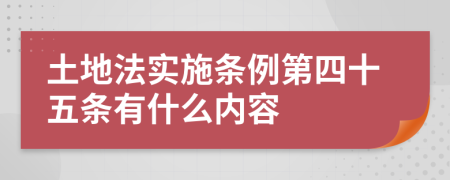 土地法实施条例第四十五条有什么内容