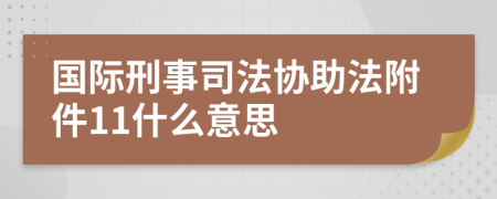 国际刑事司法协助法附件11什么意思