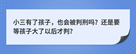 小三有了孩子，也会被判刑吗？还是要等孩子大了以后才判？