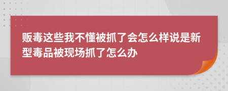 贩毒这些我不懂被抓了会怎么样说是新型毒品被现场抓了怎么办