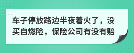 车子停放路边半夜着火了，没买自燃险，保险公司有没有赔