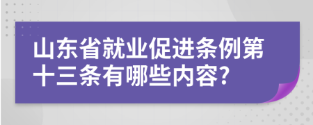 山东省就业促进条例第十三条有哪些内容?
