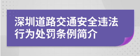 深圳道路交通安全违法行为处罚条例简介