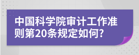 中国科学院审计工作准则第20条规定如何?