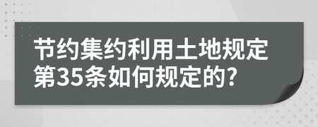 节约集约利用土地规定第35条如何规定的?
