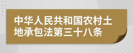 中华人民共和国农村土地承包法第三十八条