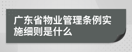 广东省物业管理条例实施细则是什么