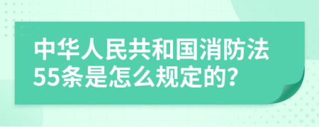 中华人民共和国消防法55条是怎么规定的？