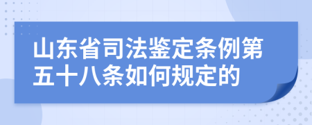 山东省司法鉴定条例第五十八条如何规定的