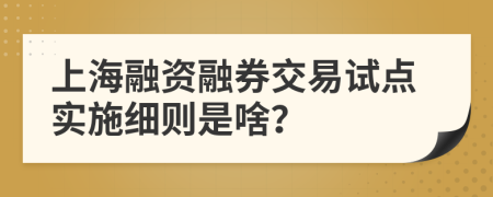 上海融资融券交易试点实施细则是啥？