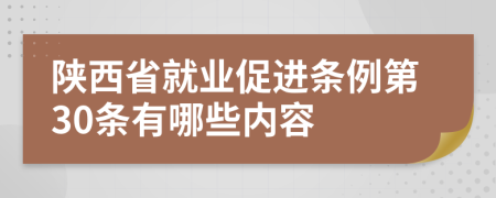 陕西省就业促进条例第30条有哪些内容