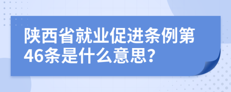 陕西省就业促进条例第46条是什么意思？