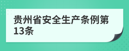 贵州省安全生产条例第13条
