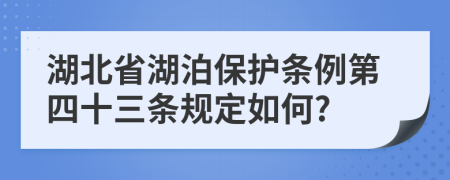 湖北省湖泊保护条例第四十三条规定如何?