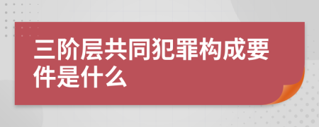三阶层共同犯罪构成要件是什么
