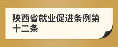 陕西省就业促进条例第十二条