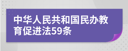 中华人民共和国民办教育促进法59条