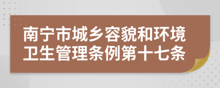 南宁市城乡容貌和环境卫生管理条例第十七条