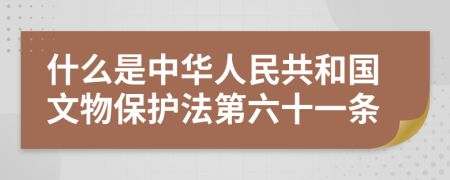 什么是中华人民共和国文物保护法第六十一条