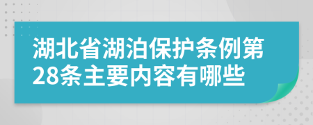 湖北省湖泊保护条例第28条主要内容有哪些