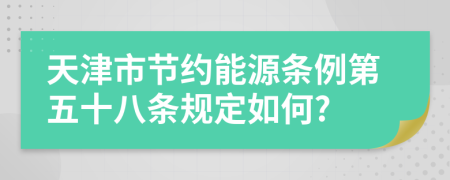 天津市节约能源条例第五十八条规定如何?