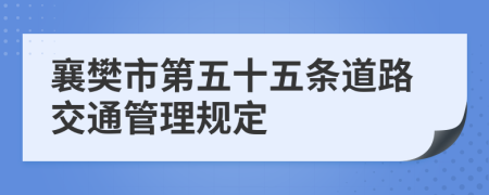 襄樊市第五十五条道路交通管理规定