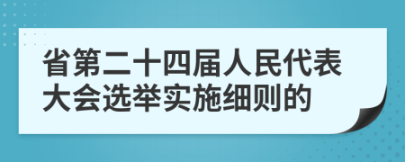 省第二十四届人民代表大会选举实施细则的