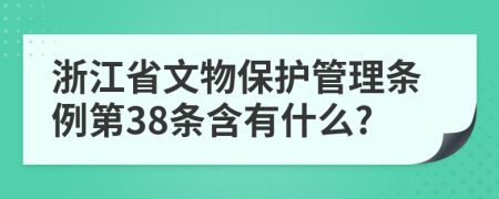 浙江省文物保护管理条例第38条含有什么?