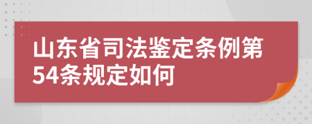 山东省司法鉴定条例第54条规定如何