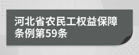 河北省农民工权益保障条例第59条