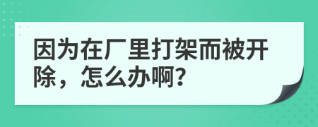 因为在厂里打架而被开除，怎么办啊？