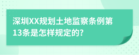 深圳XX规划土地监察条例第13条是怎样规定的?