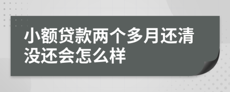 小额贷款两个多月还清没还会怎么样