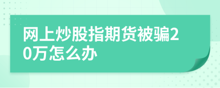 网上炒股指期货被骗20万怎么办