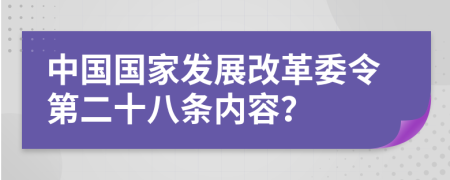 中国国家发展改革委令第二十八条内容？