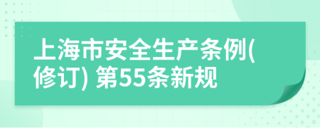 上海市安全生产条例(修订) 第55条新规