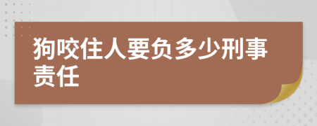 狗咬住人要负多少刑事责任