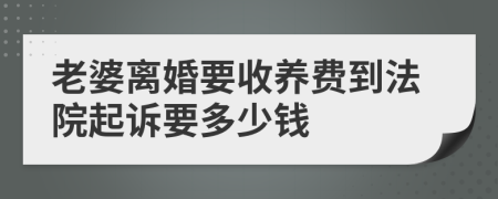 老婆离婚要收养费到法院起诉要多少钱