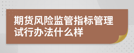 期货风险监管指标管理试行办法什么样