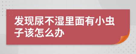 发现尿不湿里面有小虫子该怎么办