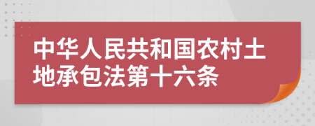 中华人民共和国农村土地承包法第十六条