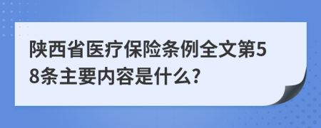 陕西省医疗保险条例全文第58条主要内容是什么?