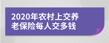 2020年农村上交养老保险每人交多钱