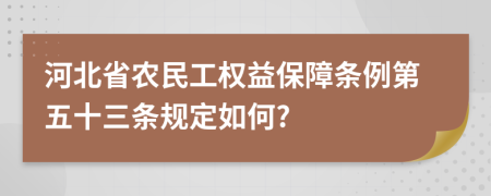 河北省农民工权益保障条例第五十三条规定如何?