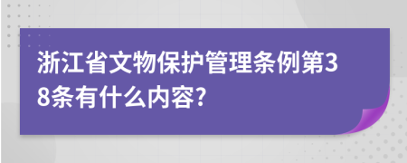 浙江省文物保护管理条例第38条有什么内容?