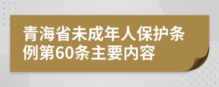 青海省未成年人保护条例第60条主要内容